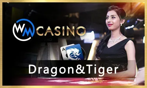 Jiliaa Sports Betting